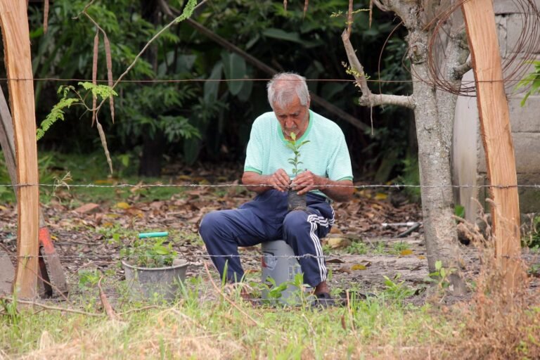 Homem idoso regando plantas no quintal ensolarado de casa pela manhã