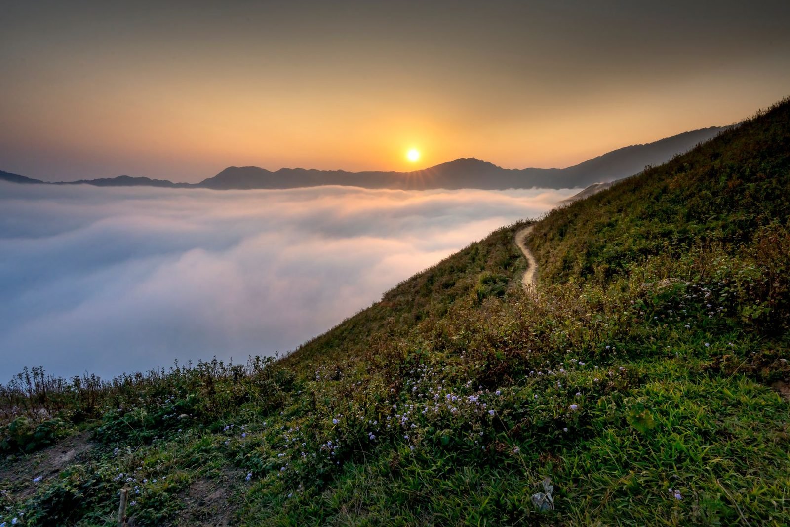 Caminho sereno iluminado pela suave luz matinal entre colinas tranquilas.